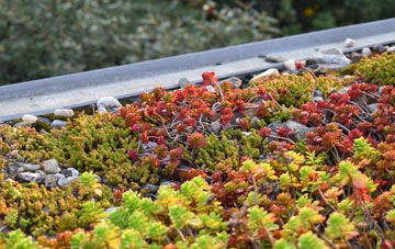 the cost of Parc Erissey green roof installation
