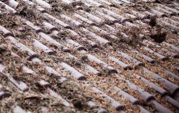 Parc Erissey roof cleaning companies