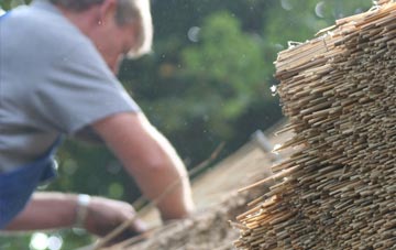 professional Parc Erissey thatchers