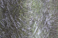 Parc Erissey fibreglass roof work